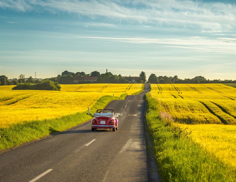 Yellow Field Photo Dennis Borup Jakobsen Custom