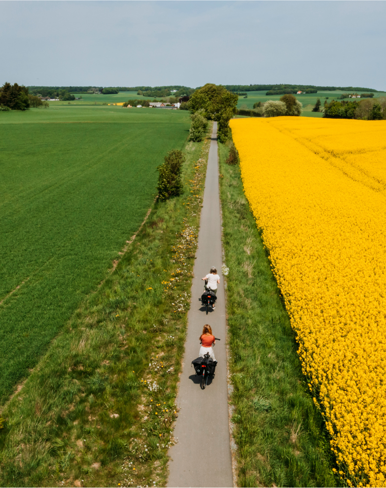 12 Naturstien Horsens Silkeborg © Sarah Green